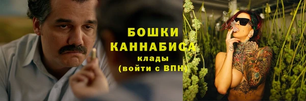 винт Богданович